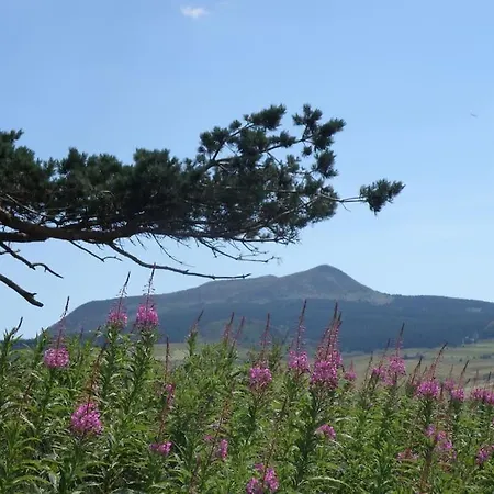Petite Maison Au Calme Avec Vue Magnifique ! Holiday home *